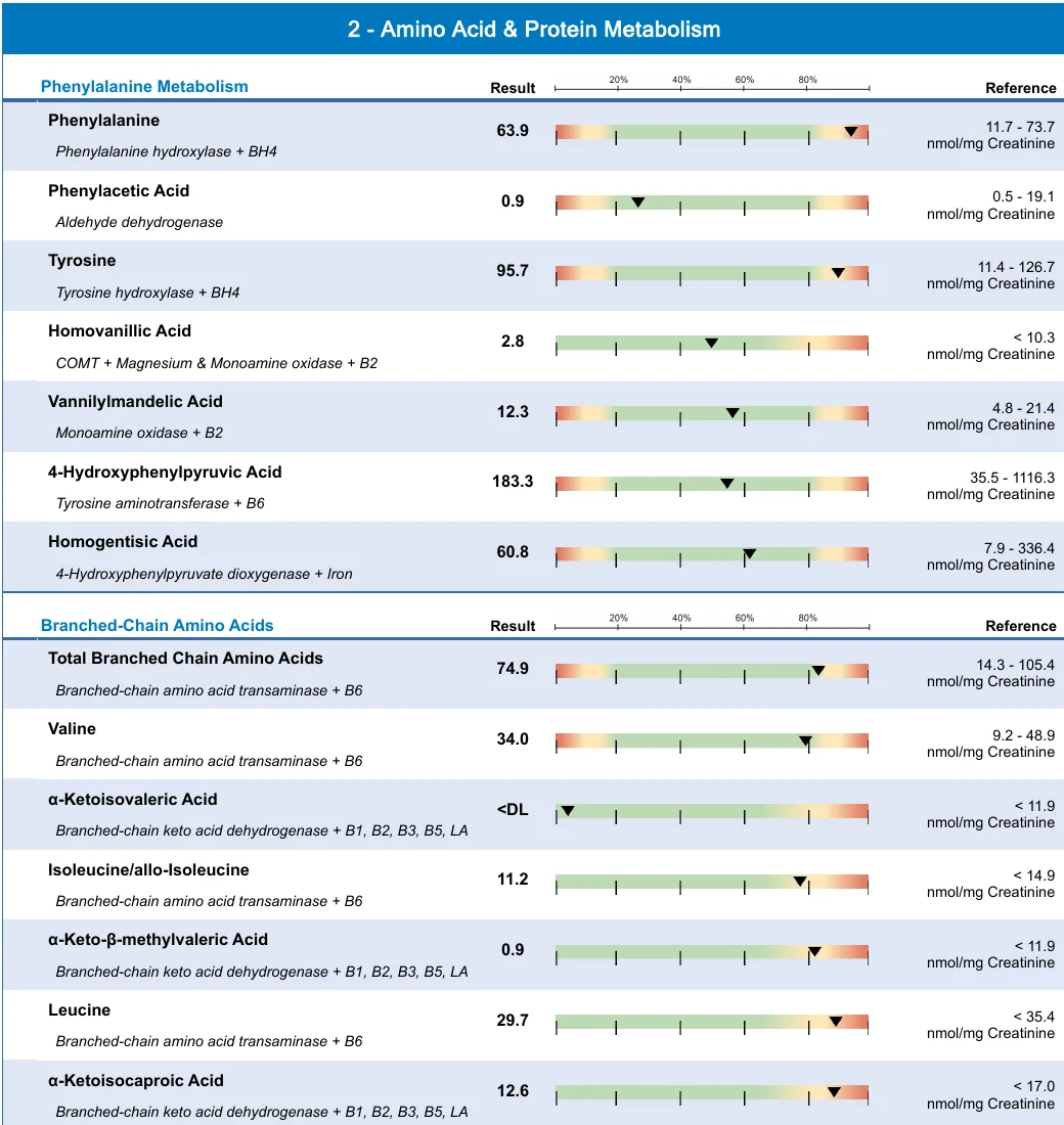 Relatório metabolômico com marcadores relacionados ao metabolismo de aminoácidos e proteínas